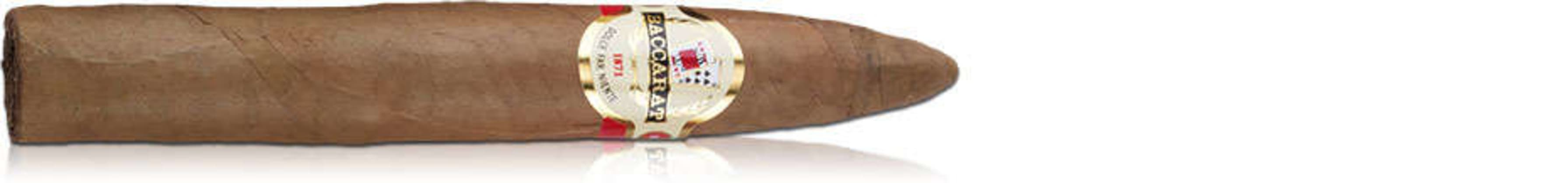 Baccarat Belicoso Single
