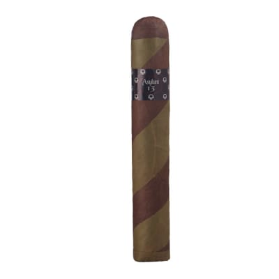 Asylum 13 The OGRE 880 - CI-ASO-880BPZ