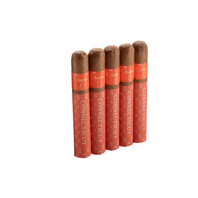 Asylum 13 Connecticut Double Toro 5 PK - CI-AYC-DTORN5PK