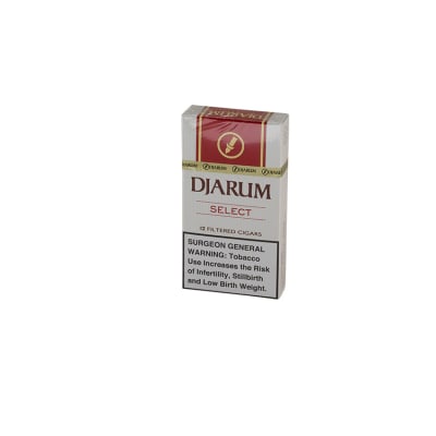Djarum Select Filter Cigar (12) - CI-DJM-MILDPKZ