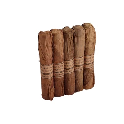 Leaf By Oscar Sixty CT 5 Pack CI-LBO-60CTN5PK Leaf By Oscar Sixty CT 5 Pack-CI-LBO-60CTN5PK - 400