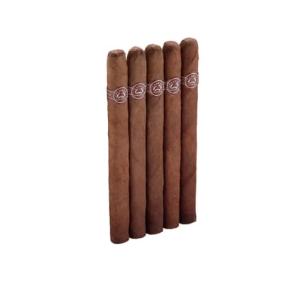 Padron Ambassador 5 Pack CI-PAD-AMBN5PK Padron Ambassador 5 Pack-CI-PAD-AMBN5PK - 400