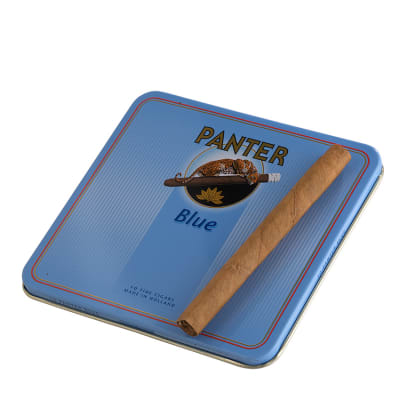 Panter Blue (10) CI-PAN-BLUE10Z Panter Blue (10)-CI-PAN-BLUE10Z - 400