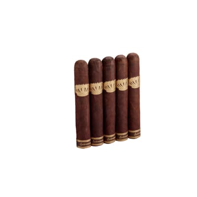 Sobremesa Short Churchill 5 Pack CI-SOB-SCHUN5PK Sobremesa Short Churchill 5 Pack-CI-SOB-SCHUN5PK - 400