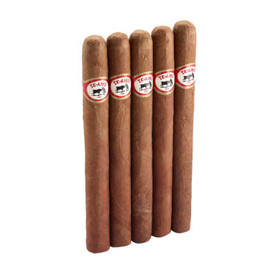 Te Amo Churchill 5 Pack CI-TAR-CHUN5PK Te Amo Churchill 5 Pack-CI-TAR-CHUN5PK - 400