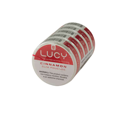 Lucy Slim Pouch 8mg Cinnamon 5 tins-NP-SLP-CINN8 - 400