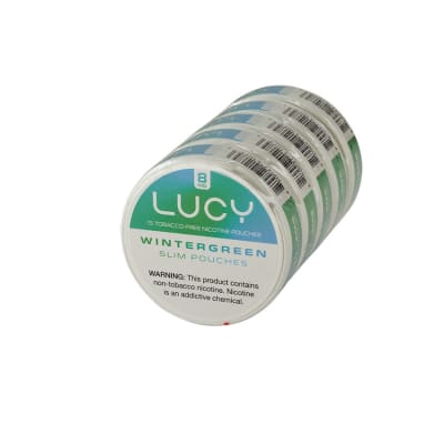 Lucy Slim Pouch 8mg Wintergreen Tins of 5-NP-SLP-WINTE8 - 400