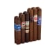 CI-BOF-NICA Top Rated Nicaraguans - Varies Varies Varies - Click for Quickview!