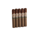 CI-F10-ROBN5PK FYR 10th Anniversary Robusto 5 Pack - Full Robusto 5 x 52 - Click for Quickview!