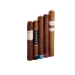 CI-FVS-RP5SAM1 Famous Rocky Value 5 Cigar Sampler #1 - Varies Varies Varies - Click for Quickview!