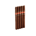 CI-INP-738N5PK Inferno Flashpoint 7x38 5pk - Full Lancero 7 x 38 - Click for Quickview!