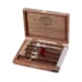 CI-PAD-COLLN The Padron Collection Natural - Varies Varies Varies - Click for Quickview!