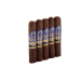 CI-PXM-ROBM5PK Perdomo Reserve 10th Anniversary Robusto 5PK - Full Robusto 5 x 54 - Click for Quickview!